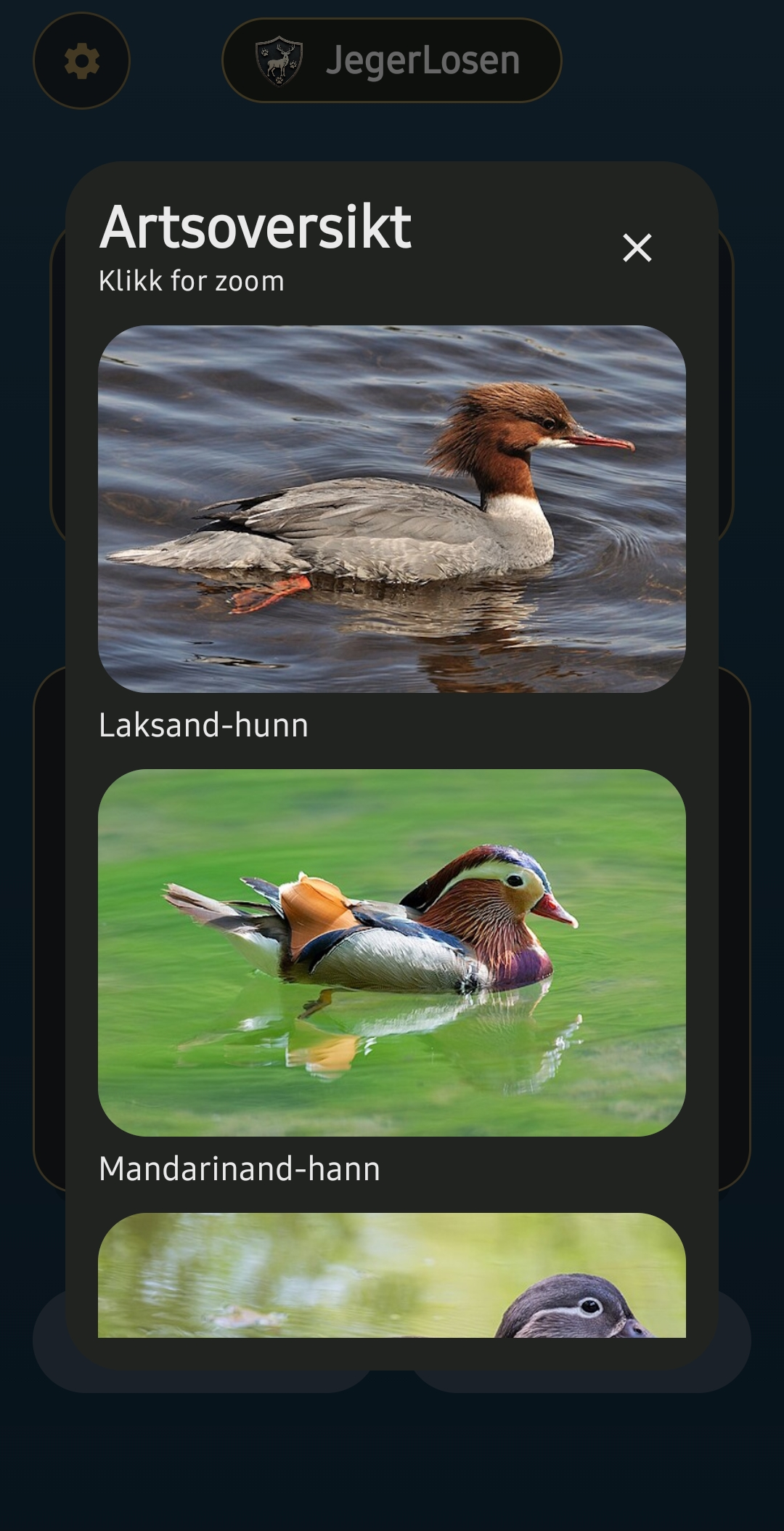 Artsoversikt